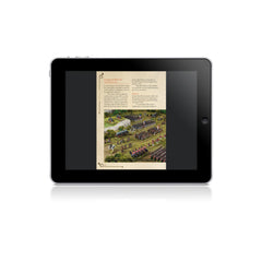 Digital Black Powder Epic Battles: Revolution! Rulebook PDF