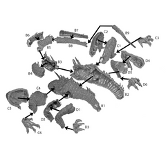 Argloth Rivelwyr Destroyer of Empires - Fantasy Dragon