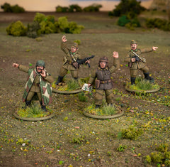 Hungarian Army platoon commanders