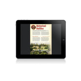 Digital Iron Coffins - Achtung Panzer! Campaign Book PDF