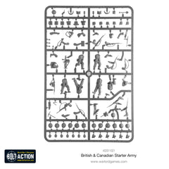 British & Canadian Army (1943-45) Starter Army