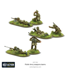 Polish Army weapons teams