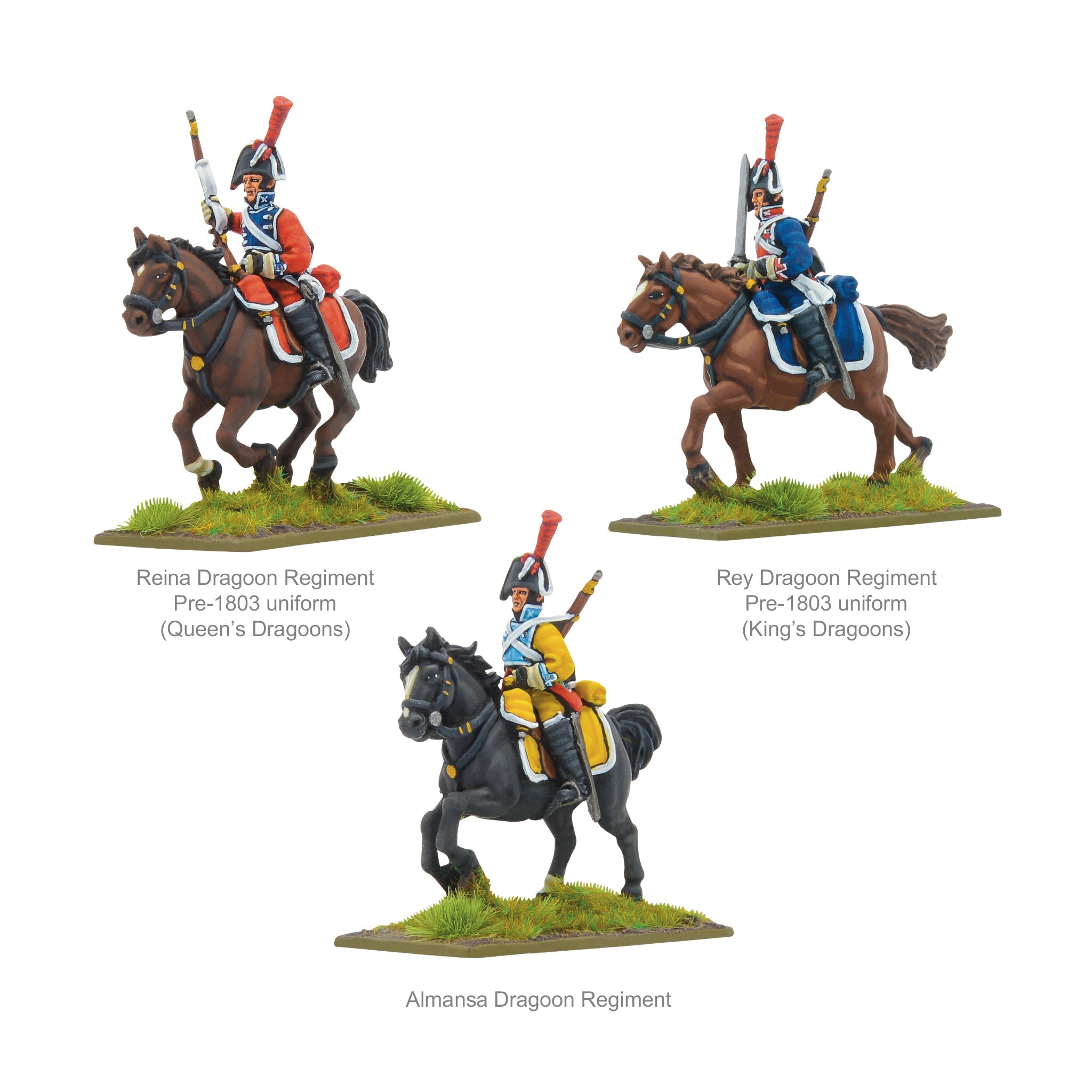 Napoleonic Spanish Dragoons Regiment 1793-1810