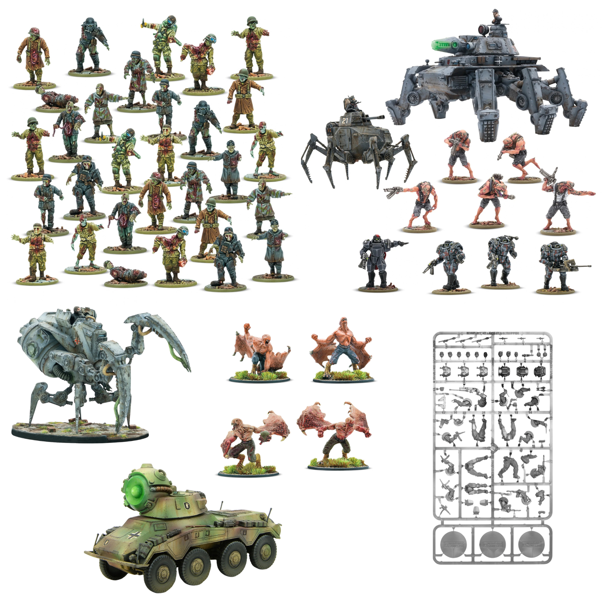 Axis Birthday Bundle