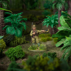 Armies of Imperial Japan with 'Into the Jungle' (Hiroo Onoda) book miniature