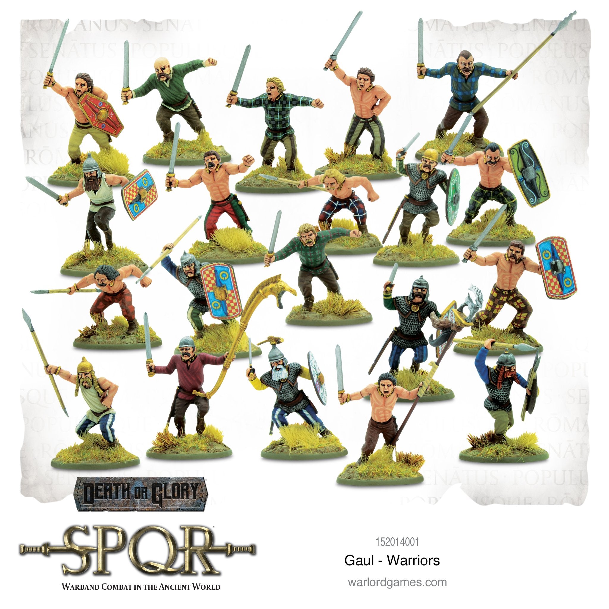 SPQR: Gaul - Warriors