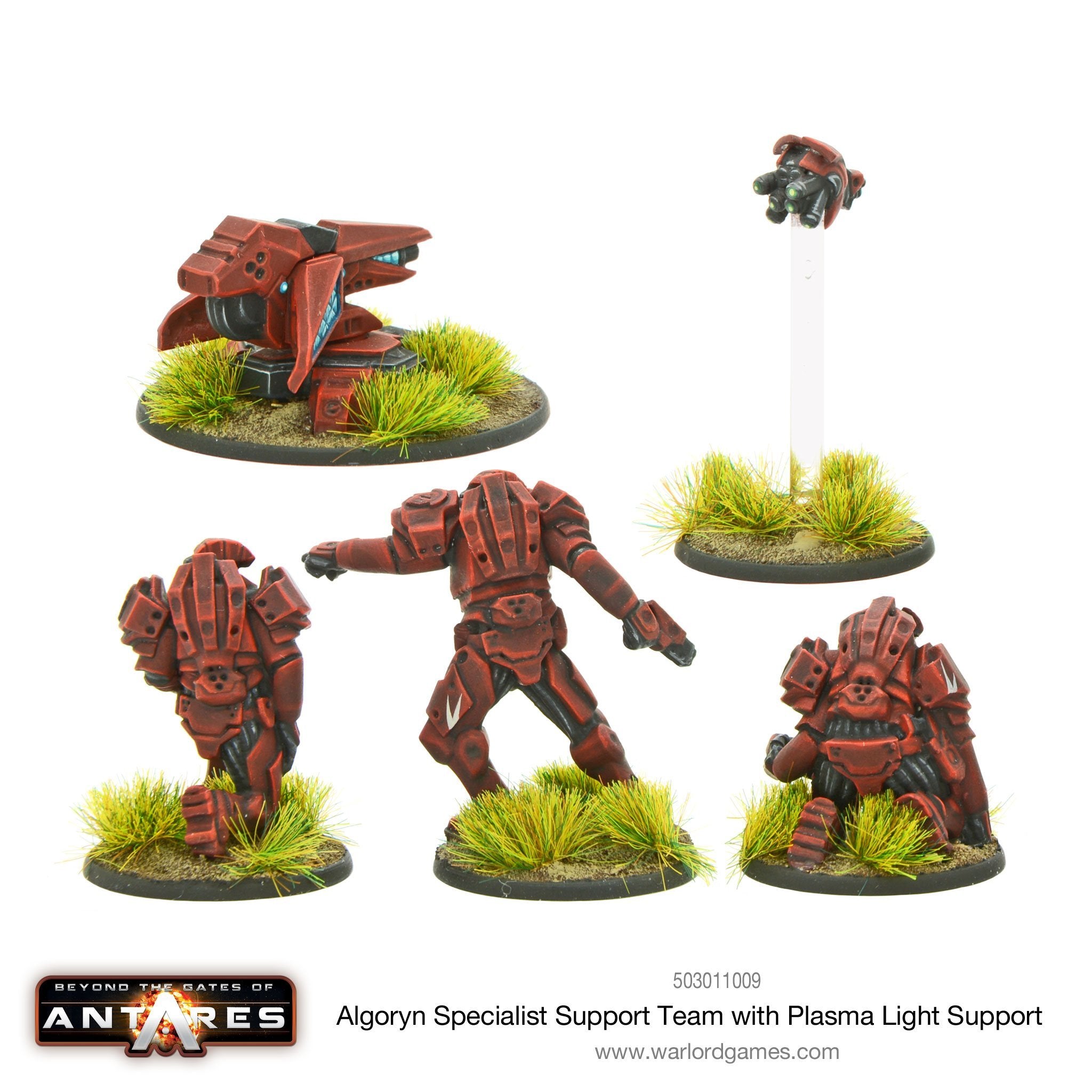 Algoryn specialist support team with plasma light support