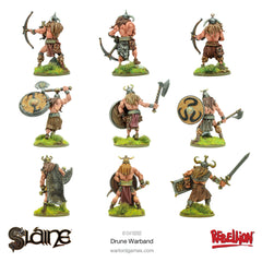 Sláine: Drune Warband