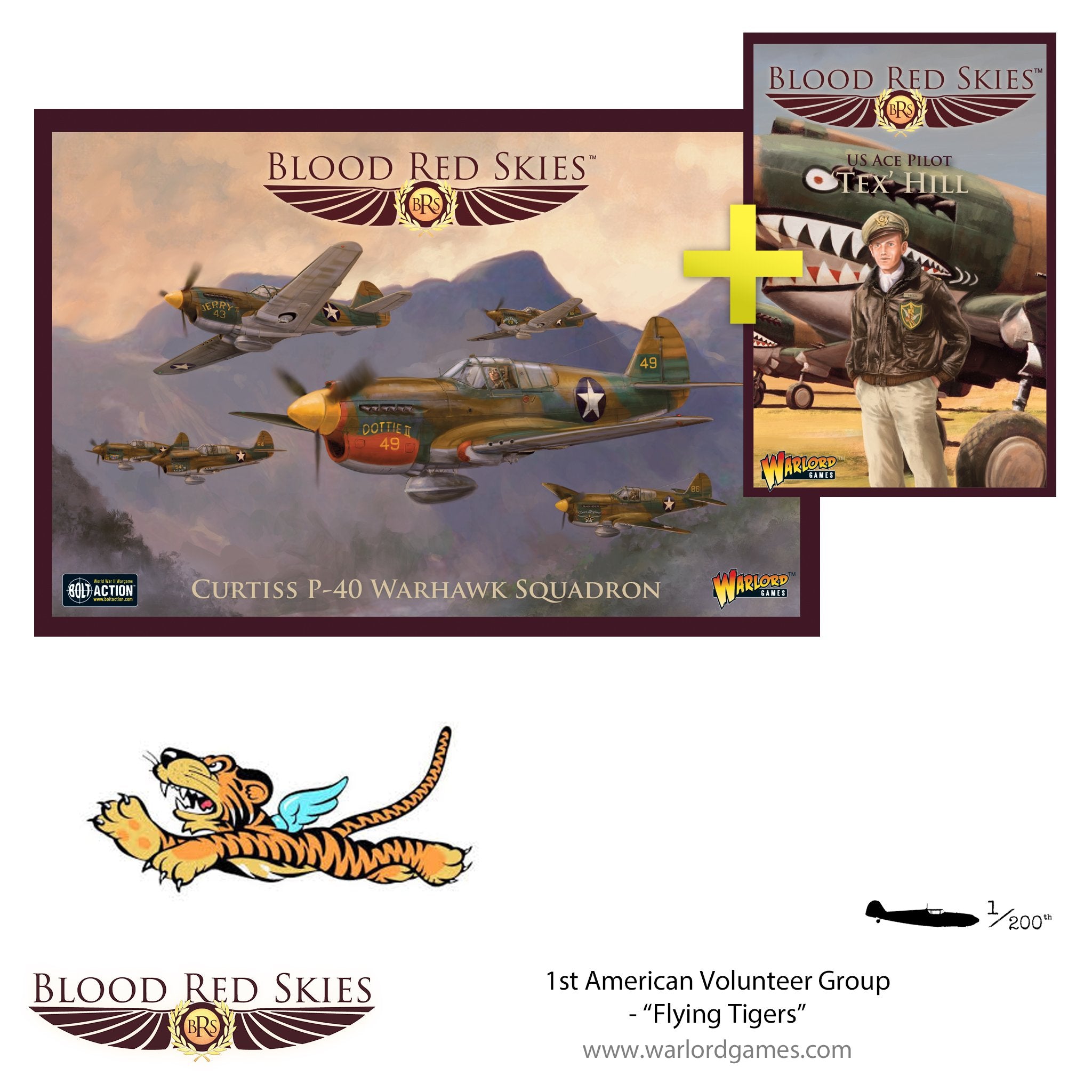 1st American Volunteer Group - "Flying Tigers", P-40 Squadron