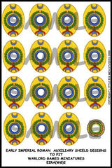 EIR Auxiliary shield designs 2