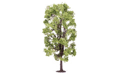 Lime Tree (Spring) - 18.5cm