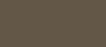 Model Colour 825 - German Camo Pale Brown