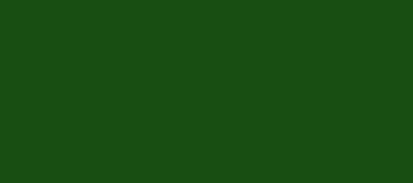 Model Colour 893 - US Dark Green
